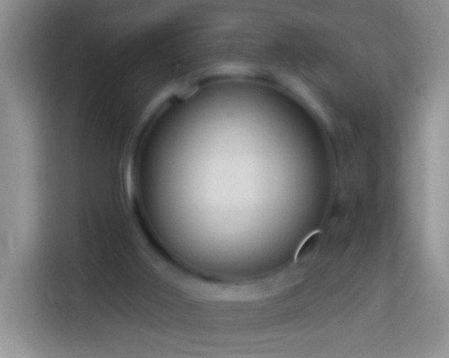 X0000113880011200910011141