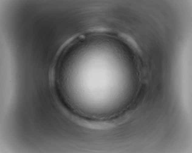 X0000113880012200910011141