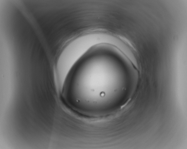 X0000113880013200910011141