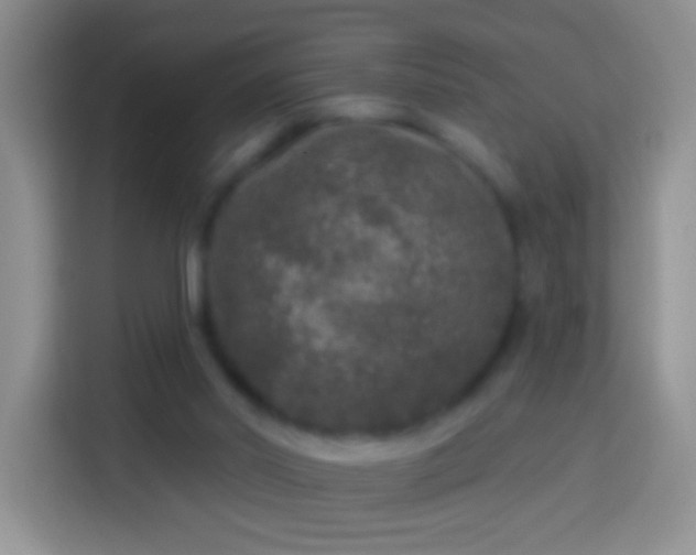 X0000113880014200910011141