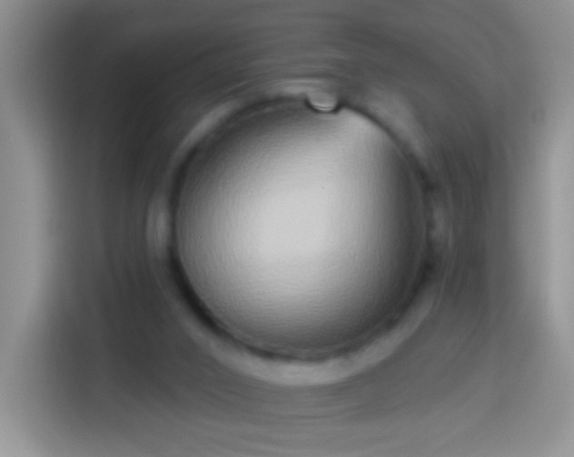 X0000113880016200910011141