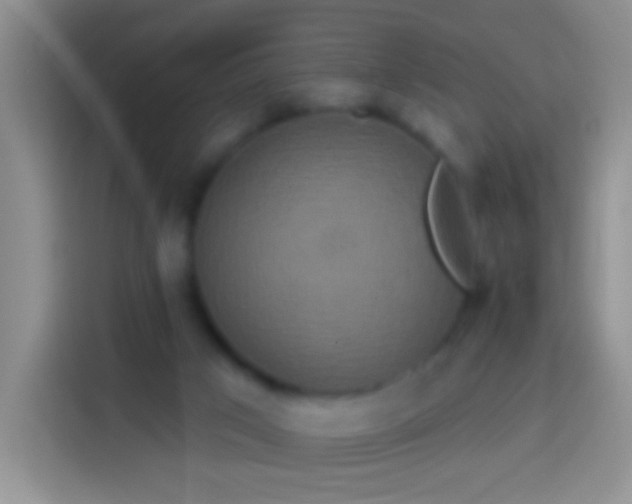 X0000113880017200910011141