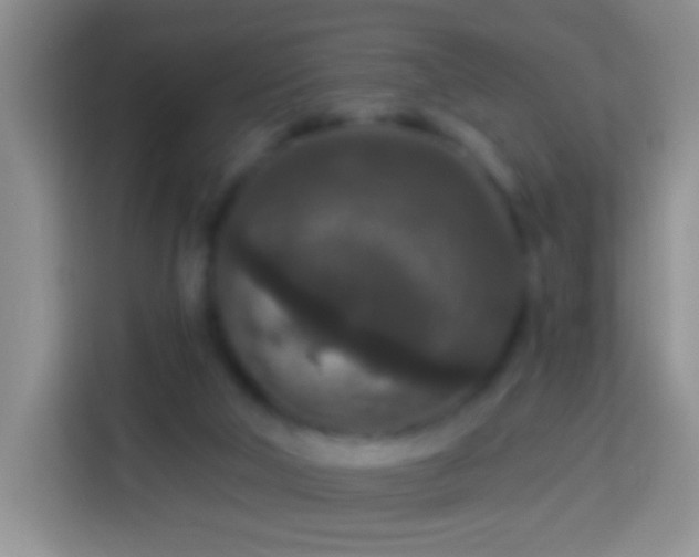 X0000113880018200910011141