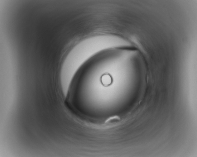 X0000113880019200910011141