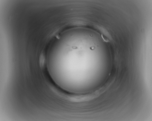 X0000113880021200910011141