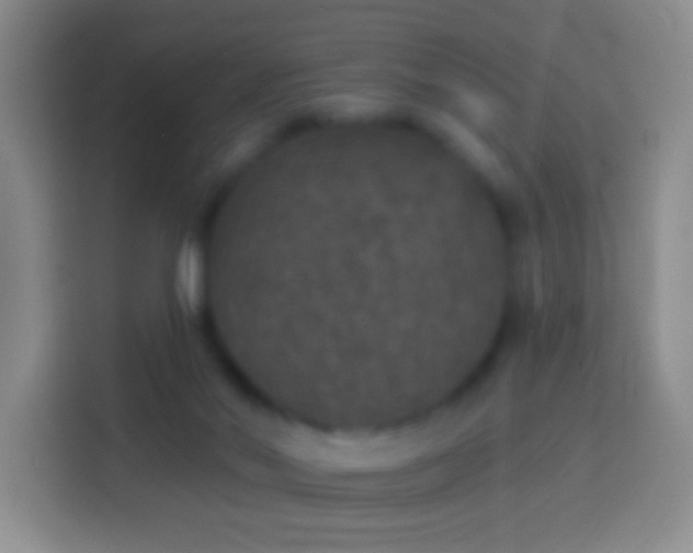 X0000113880022200910011141