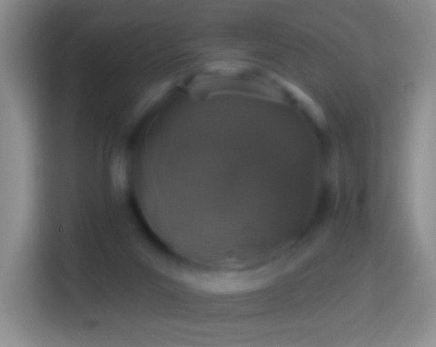 X0000113880023200910011141