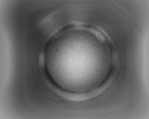 X0000113880024200910011141