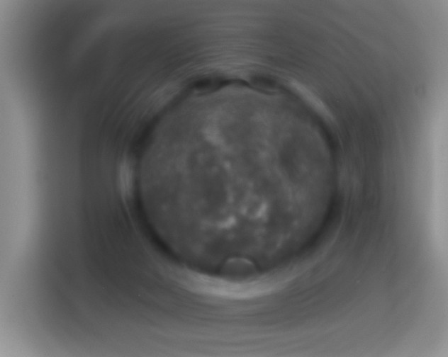 X0000113880026200910011141