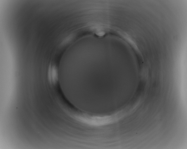 X0000113880027200910011141