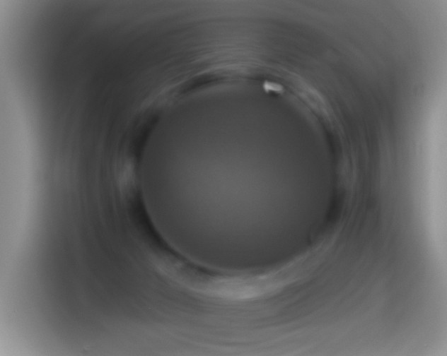 X0000113880029200910011141