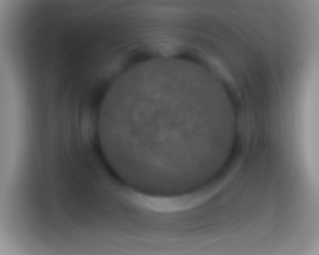 X0000113880030200910011141