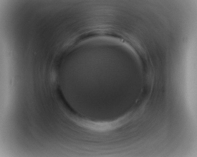 X0000113880031200910011141