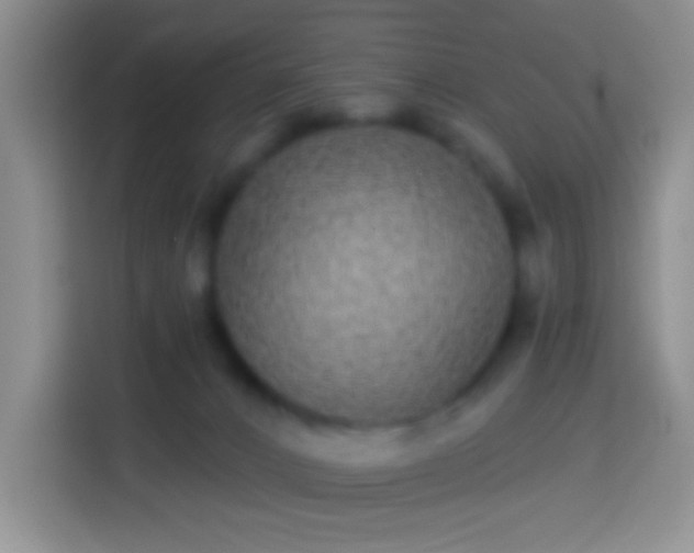 X0000113880032200910011141