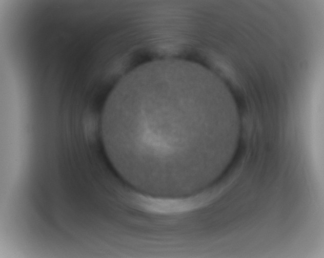 X0000113880034200910011141