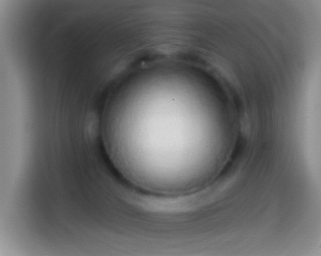 X0000113880036200910011141