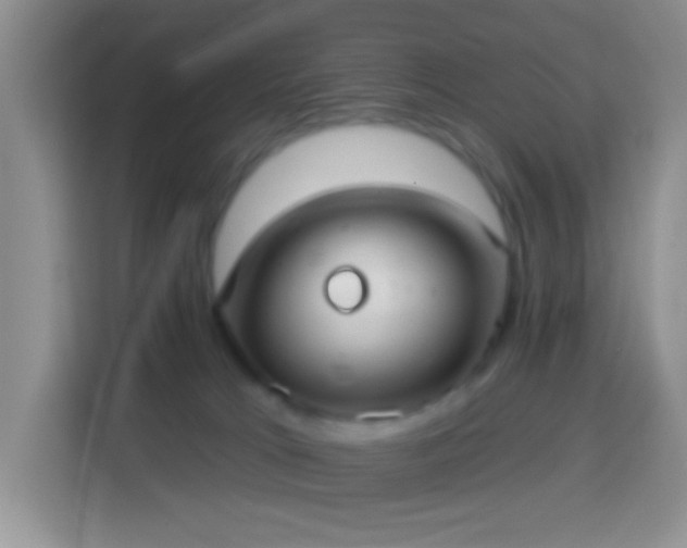 X0000113880037200910011141