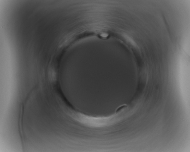 X0000113880039200910011141