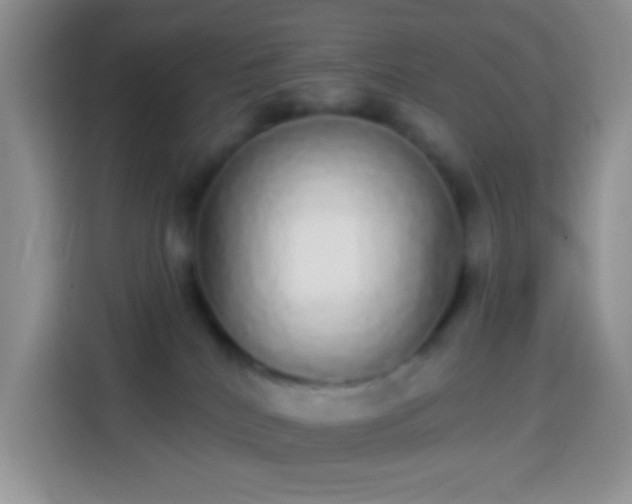 X0000113880040200910011141