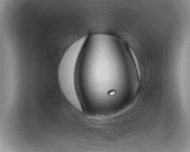 X0000113880041200910011141