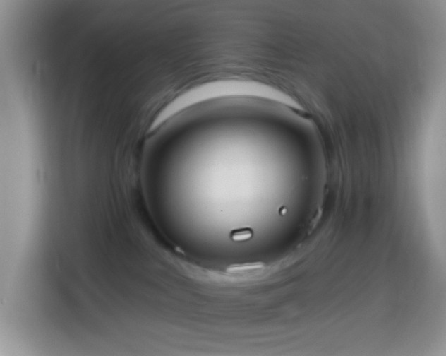 X0000113880043200910011141