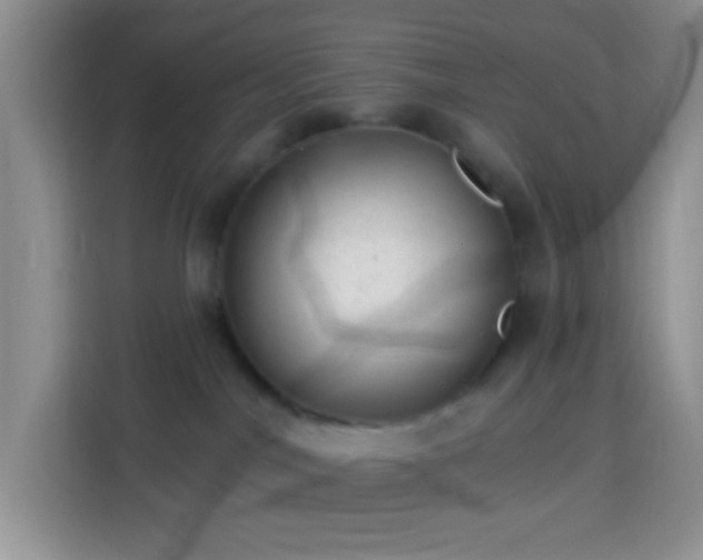 X0000113880044200910011141