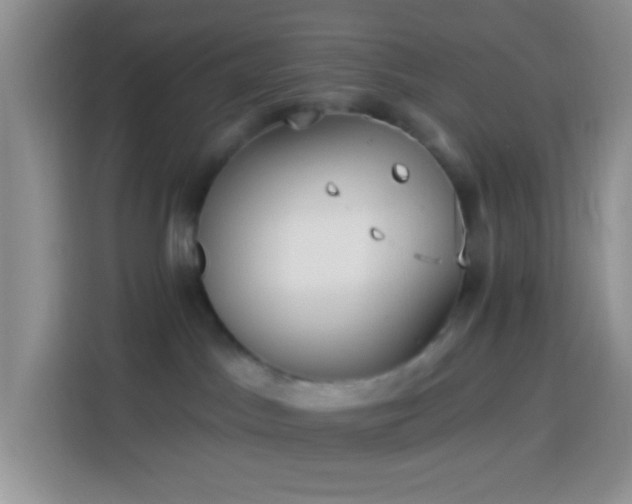 X0000113880045200910011141