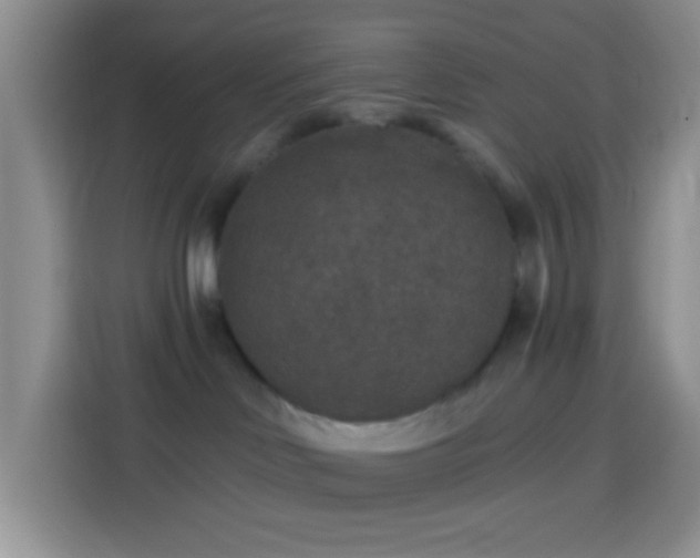 X0000113880046200910011141