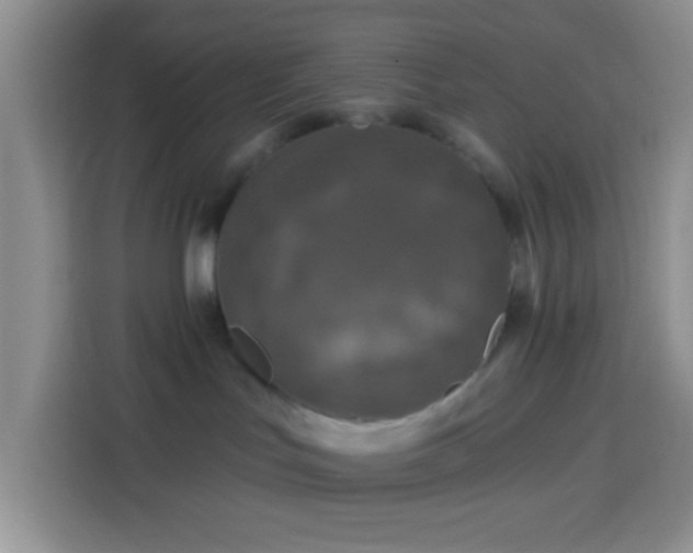 X0000113880047200910011141