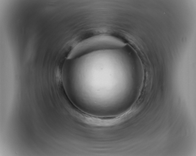 X0000113880048200910011141