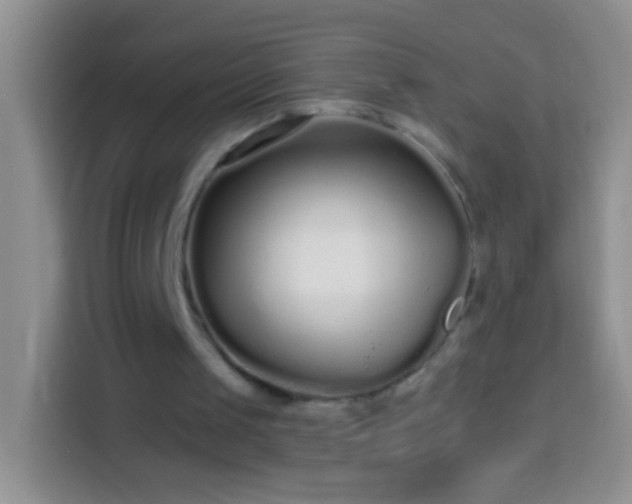 X0000113880049200910011140