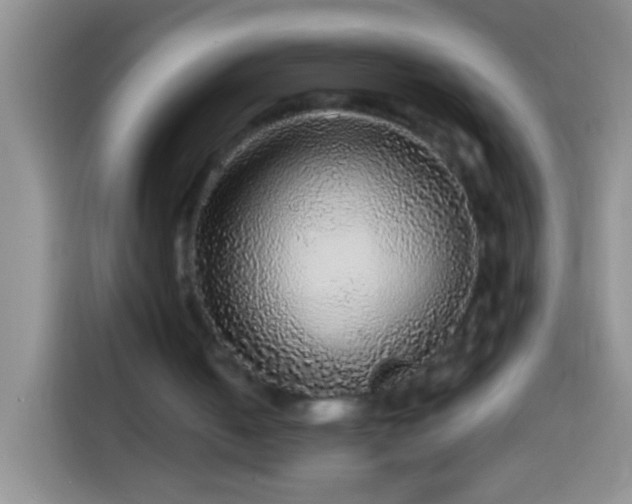 X0000113880050200910011140