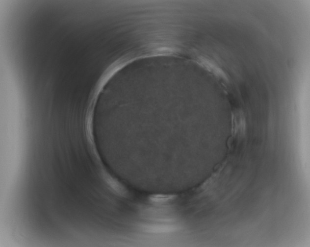 X0000113880051200910011140