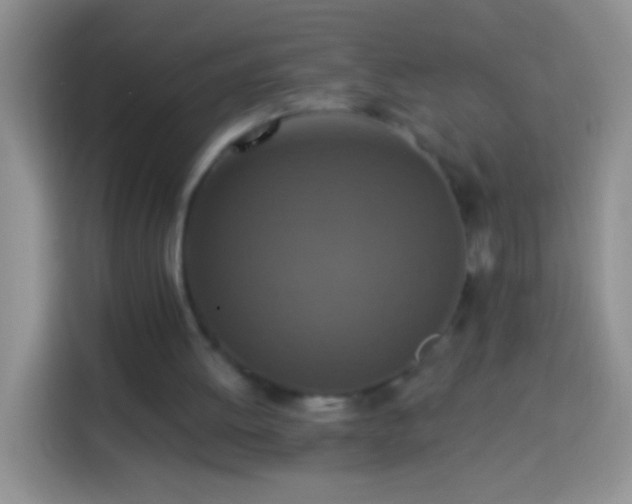 X0000113880052200910011140