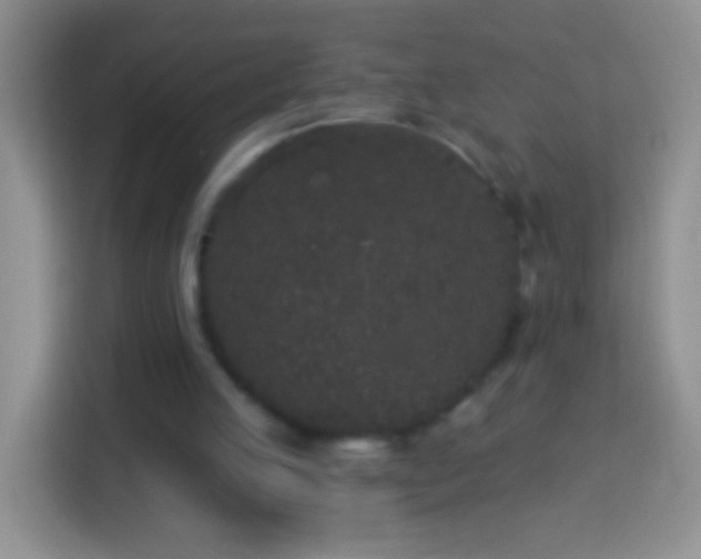 X0000113880053200910011140