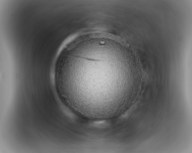 X0000113880054200910011140