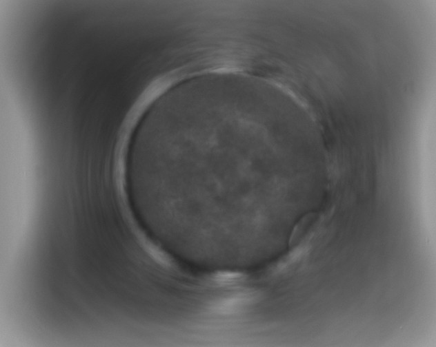 X0000113880055200910011140