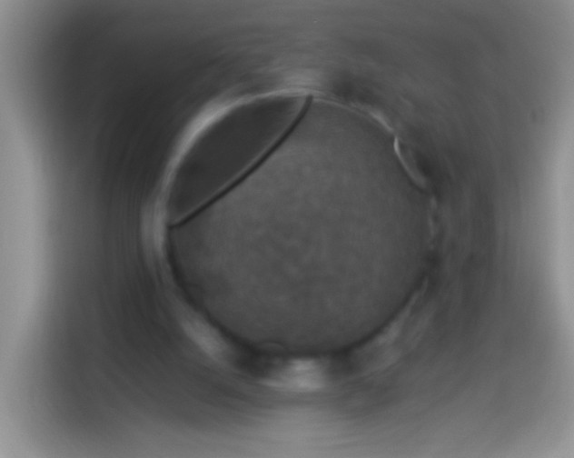 X0000113880056200910011140