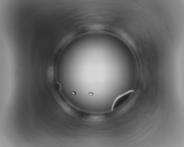 X0000113880057200910011140