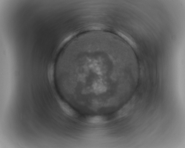 X0000113880058200910011140