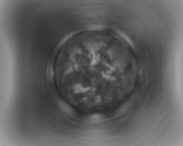 X0000113880059200910011140