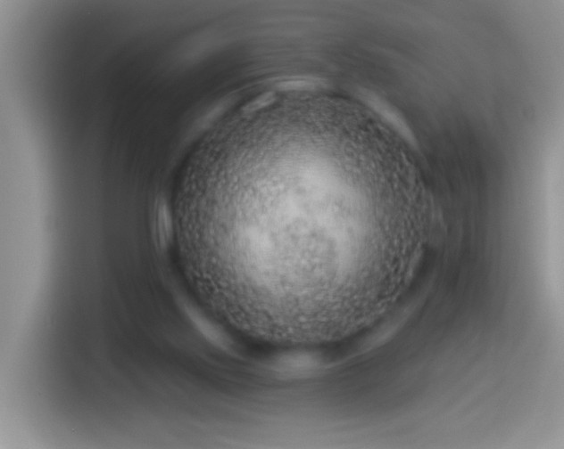 X0000113880061200910011140