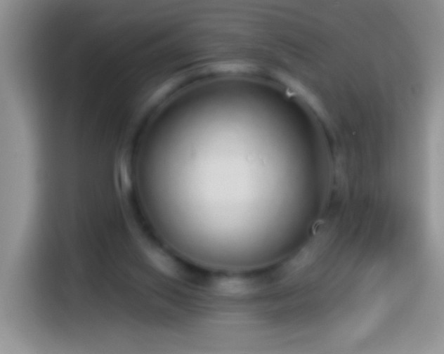 X0000113880062200910011140