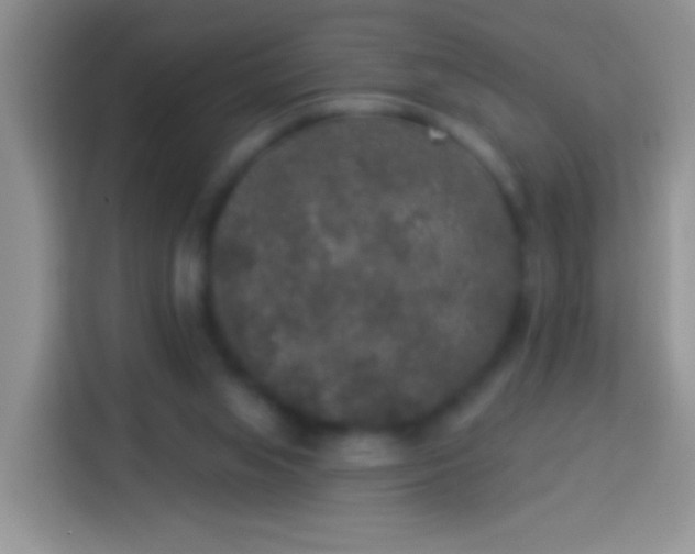 X0000113880063200910011141