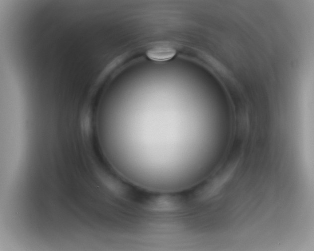 X0000113880064200910011141