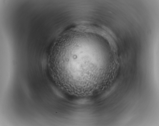 X0000113880065200910011141