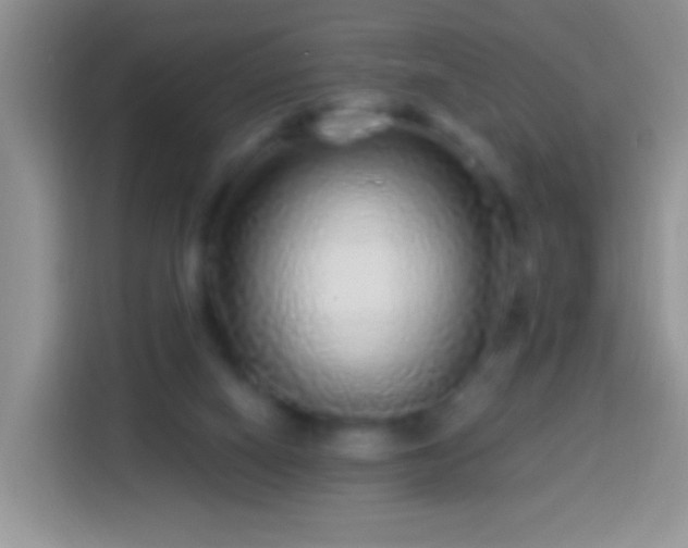 X0000113880066200910011141