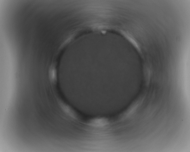 X0000113880067200910011141