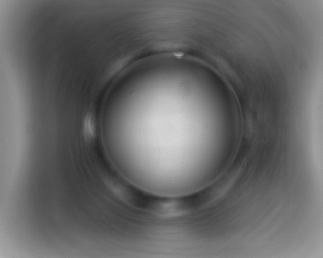 X0000113880068200910011141