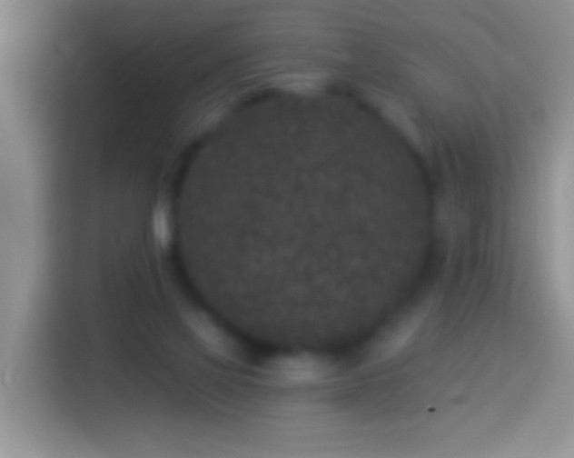 X0000113880069200910011141